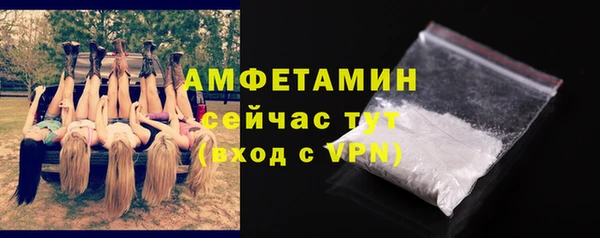 индика Михайловск