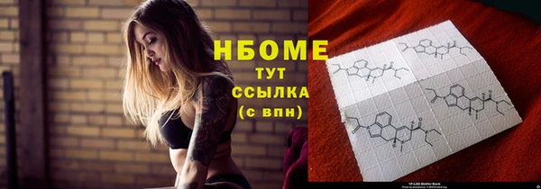 индика Михайловск