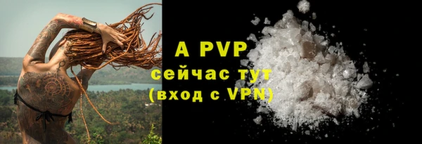 индика Михайловск