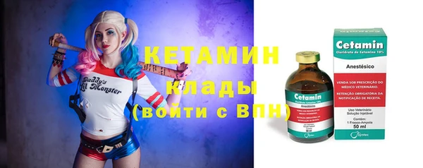 индика Михайловск