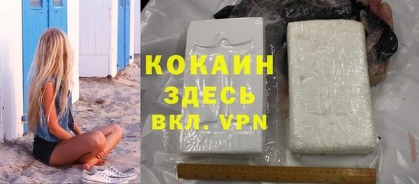 индика Михайловск