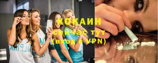 индика Михайловск