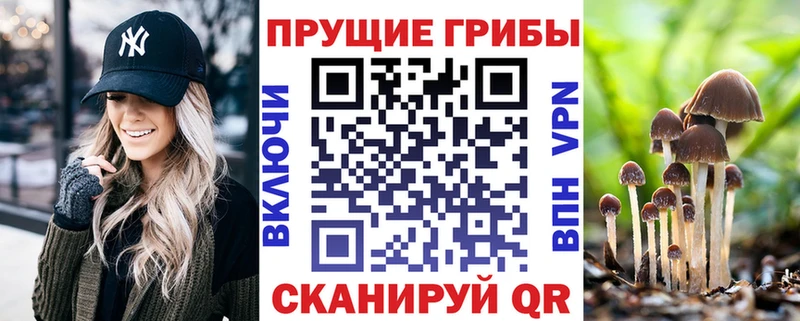 Псилоцибиновые грибы Cubensis  Разумное 